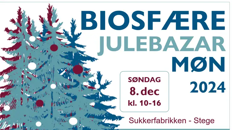 Grafisk illustration med information om biosfære julebazar